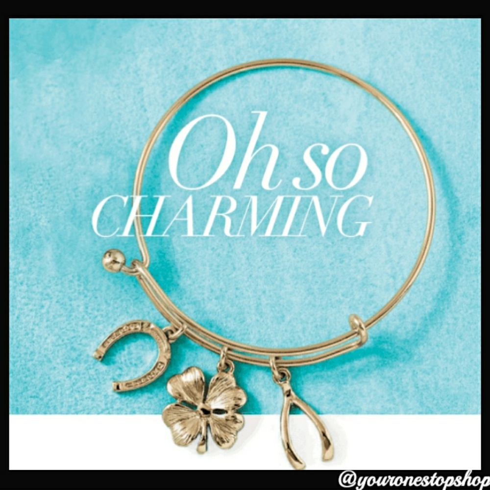Wish me Luck Bangle Bracelet🍀